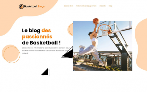 https://www.basketballblogs.org