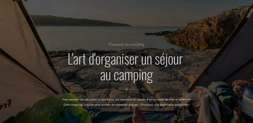 https://www.campings-en-vendee.fr